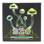 Room 920 - Mushroom Chocolate Bar - Dark Chocolate Mint - 3 grams | Shroom Store Canada