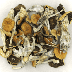 Full Moon Party | Shroom Store Canada