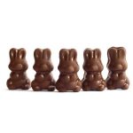 Alice - Mushroom Milk Chocolate - 2.5g | Shroom Store Canada