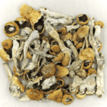 Orissa | Shroom Store Canada