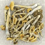 Trinity | Shroom Store Canada