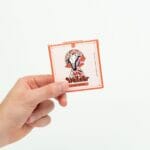 Wonder – Psilocybin Chocolate Bar – Blood Orange | Shroom Store Canada