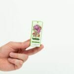 Wonder – Psilocybin Chocolate Bar – Dark Chocolate | Shroom Store Canada