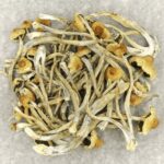 Hautla | Shroom Store Canada