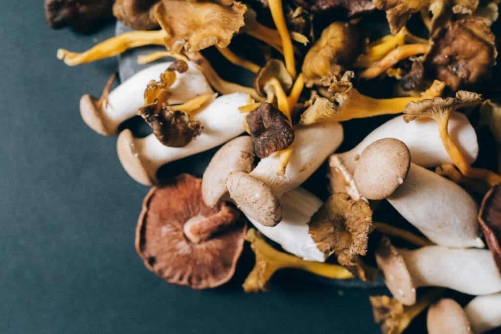 How Can Mushrooms Amplify Your Health? Health benefits of mushrooms
