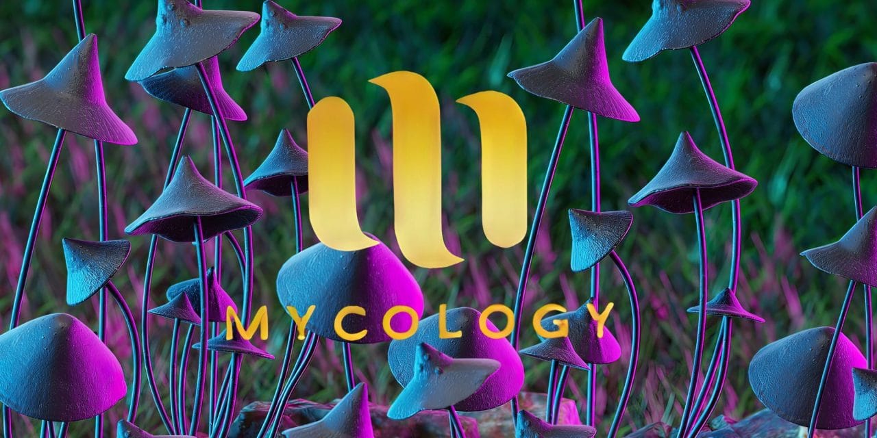 Zoomies Summer 2023 Banner - Mycology | Shroom Store Canada