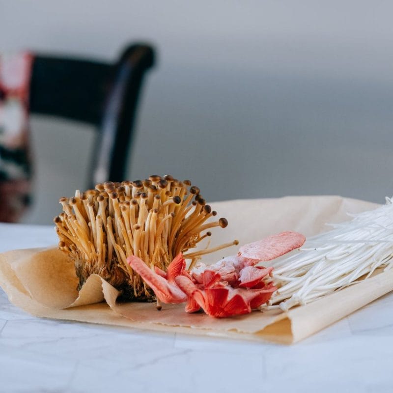 Buy Shrooms Online Canada (1) | Shroom Store Canada