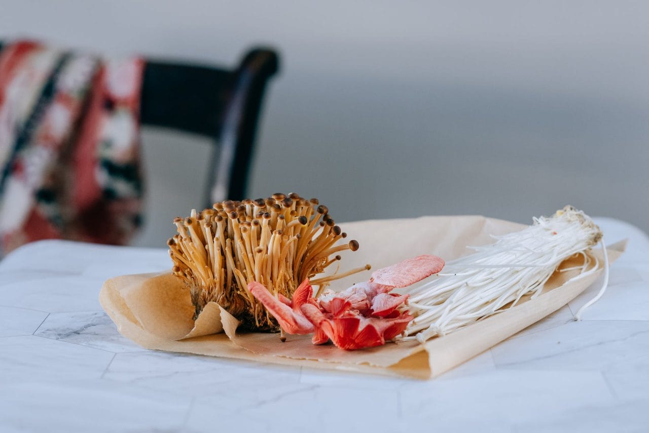 Purchase Mushrooms Online in Canada for Festive Season Recipes Involving Mushrooms