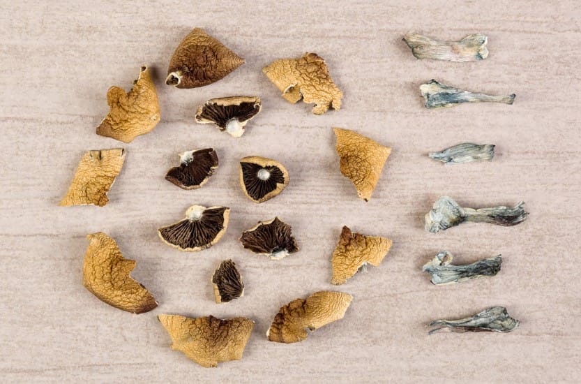 The Unexpected Link Between Psychedelics and Improved Sex Magic mushroom Canada