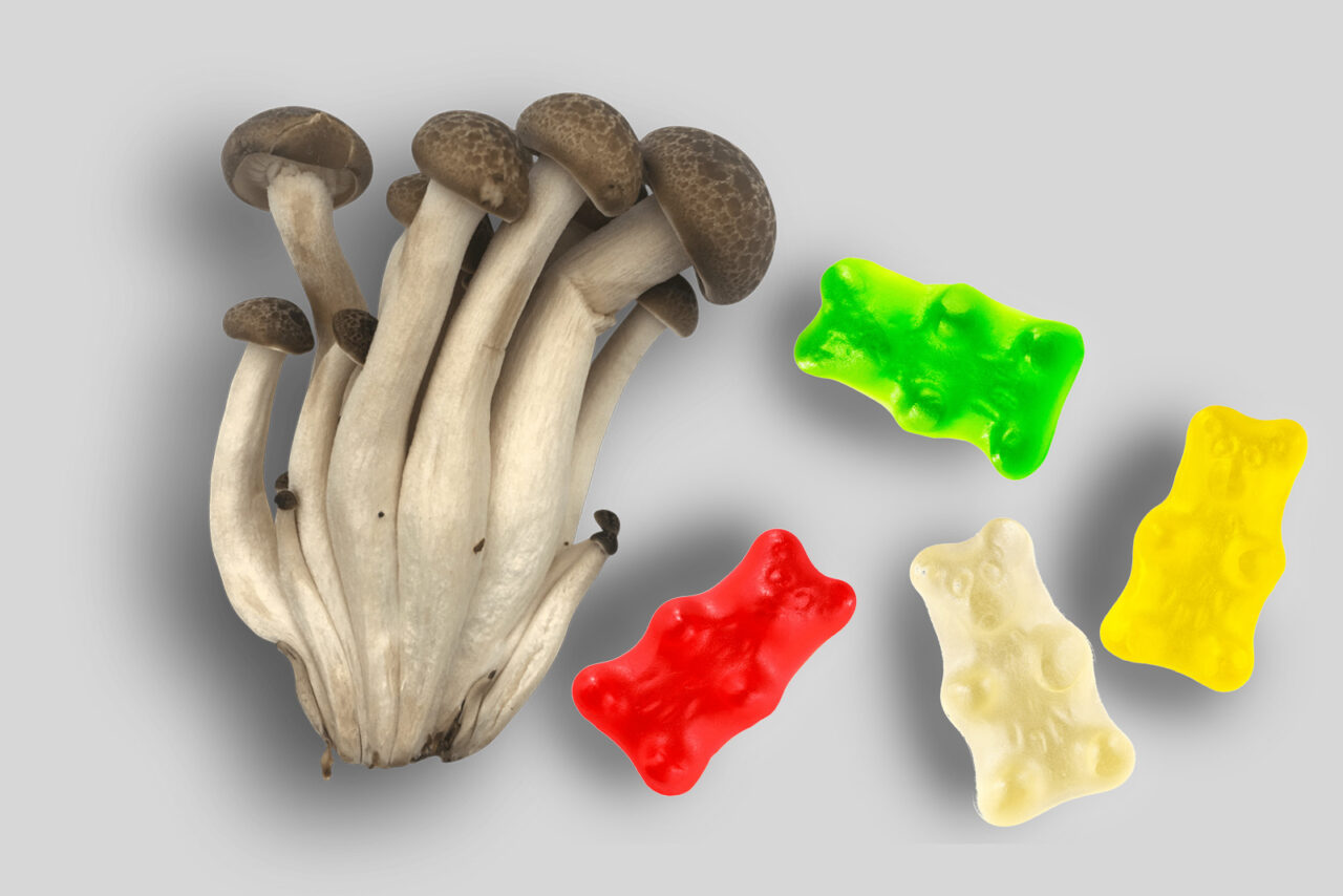 Top LSD edibles in Canada Edibles with LSD