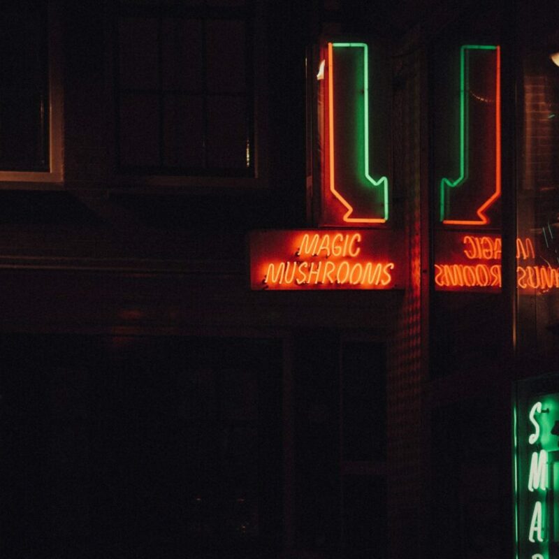 Mushroom Dispensary Vancouver | Shroom Store Canada