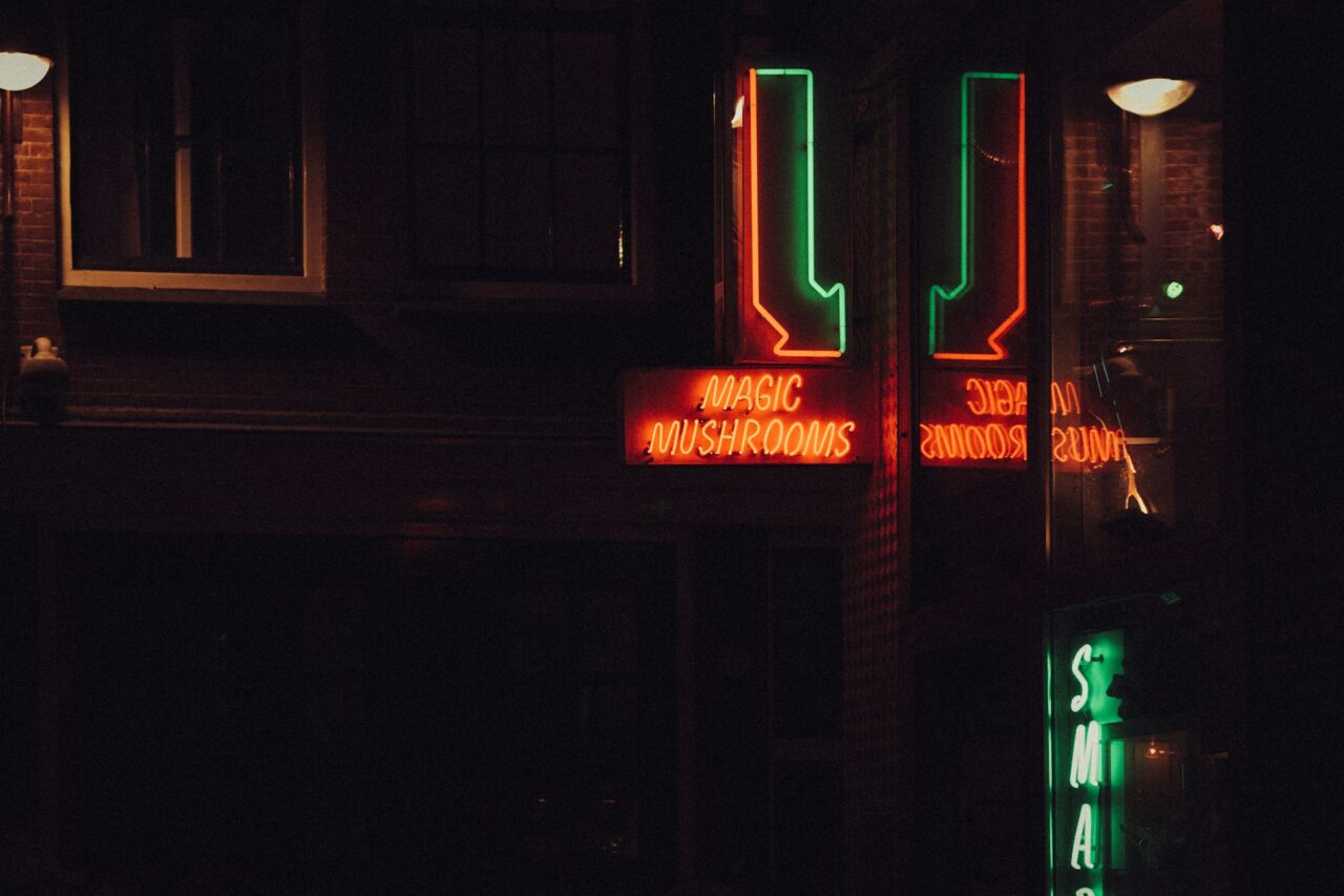 Vancouver Mushroom Dispensary – Understanding How Canada is Aligning with the US’s Mushroom Surge